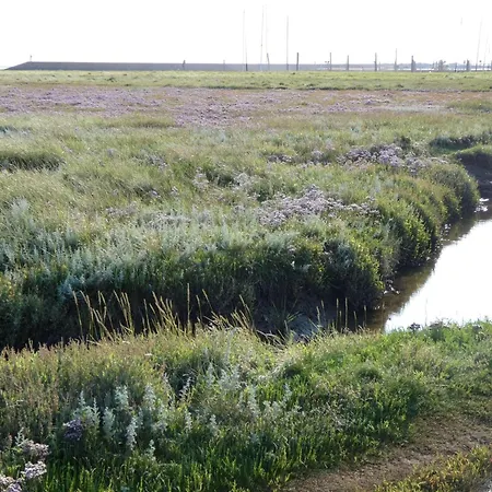 Ferienappartment Juist - Insel Auf Dem Festland Neuharlingersiel