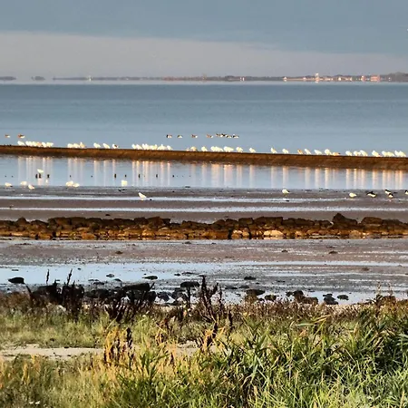 Ferienappartment Juist - Insel Auf Dem Festland * Neuharlingersiel