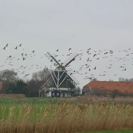 Ferienappartment Juist - Insel Auf Dem Festland * Neuharlingersiel