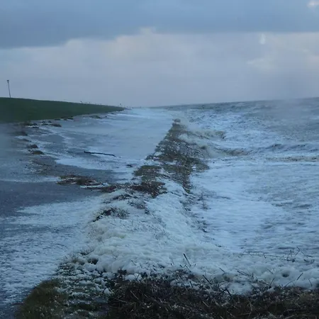 Ferienappartment Juist - Insel Auf Dem Festland * Neuharlingersiel